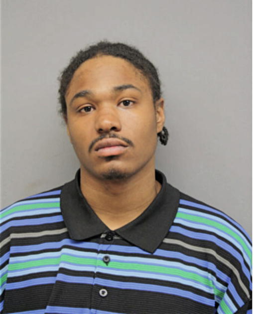 RANDALL J ROBINSON, Cook County, Illinois