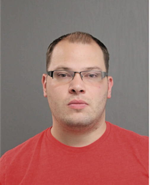 WAYNE RYDBERG, Cook County, Illinois