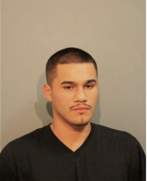ALEJANDRO A VILLARREAL, Cook County, Illinois
