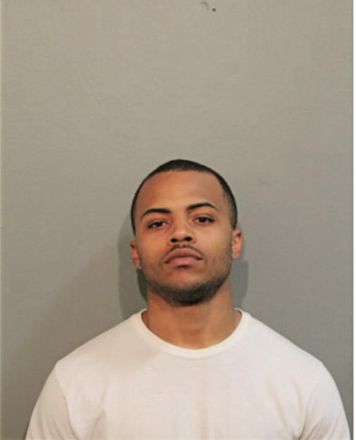 JUSTIN T WILLIAMS, Cook County, Illinois