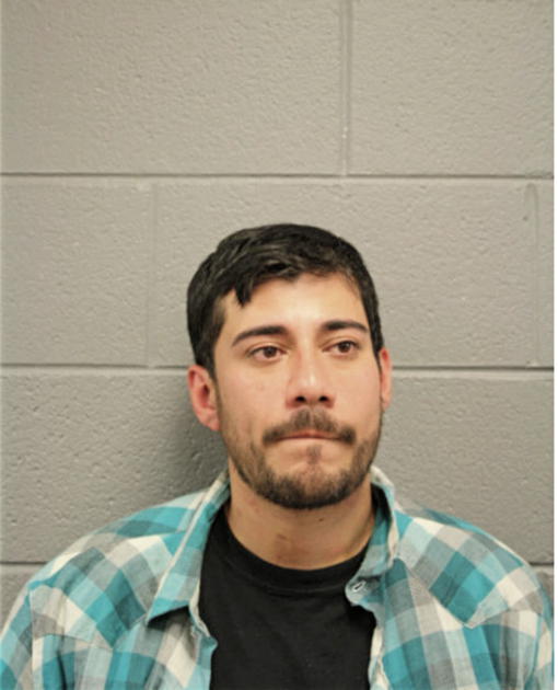 ALEJANDRO ALVARADO, Cook County, Illinois