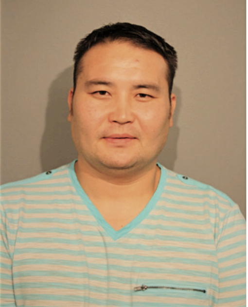 GANBAT BATZAYA, Cook County, Illinois