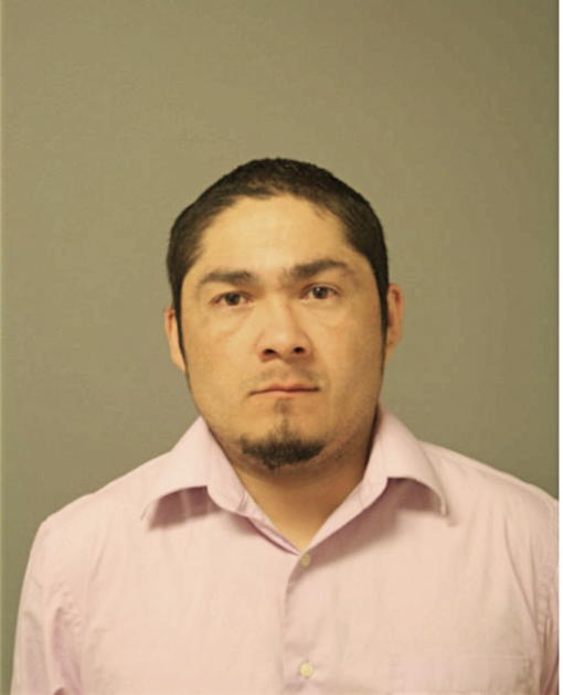 CRISTIAN BRAVO, Cook County, Illinois