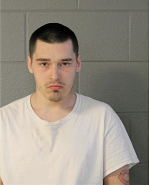 DILLION J BUDZYN, Cook County, Illinois
