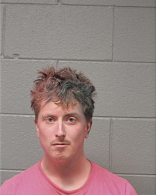 SCOTT P DE COURSEY, Cook County, Illinois