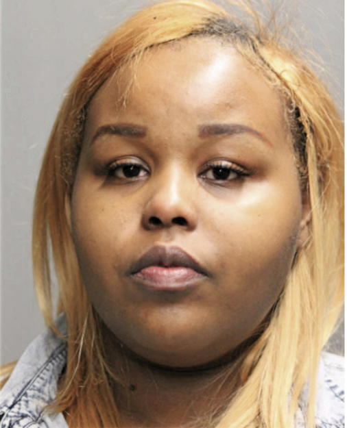 TIARA L DORTCH, Cook County, Illinois
