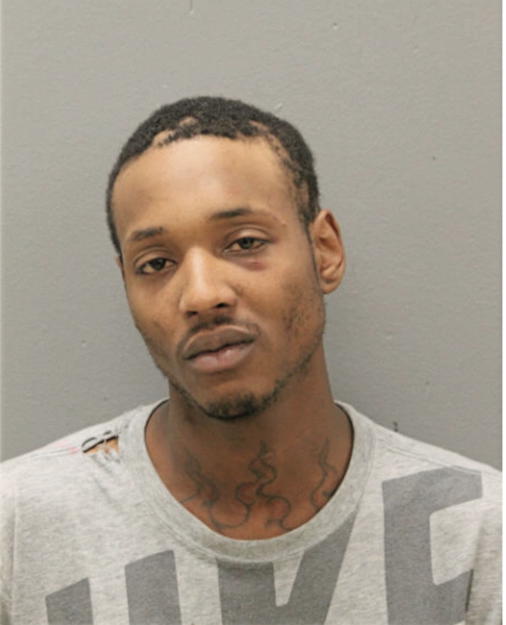 DEVON ELLZEY, Cook County, Illinois
