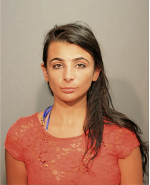 ASHLEY T GABOR, Cook County, Illinois