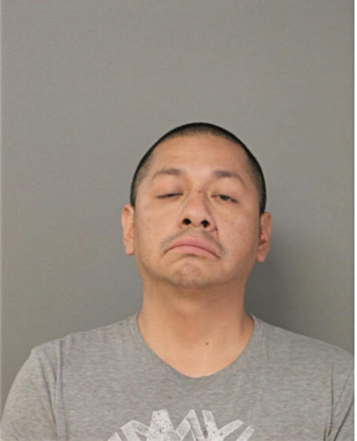 HERNAN P GUALLPA, Cook County, Illinois