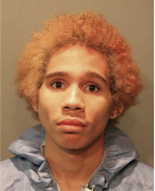 JUSTIN HUNT, Cook County, Illinois