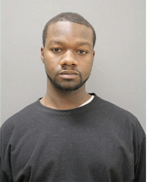 MICHAEL V MAGNES, Cook County, Illinois