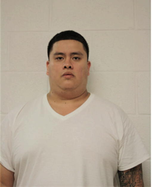 RICARDO R MARTINEZ, Cook County, Illinois