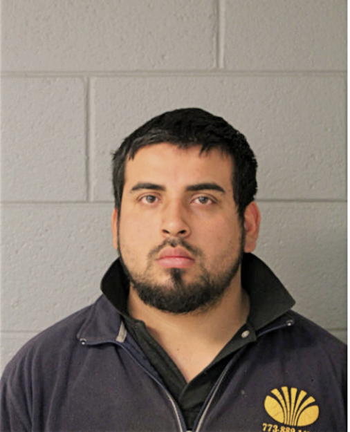 JUAN L MEDINA, Cook County, Illinois