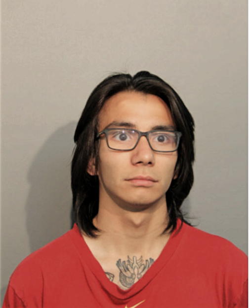 IRWIN MELENDEZ, Cook County, Illinois