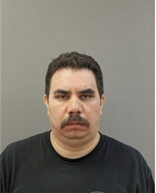 JUAN M MENDOZA, Cook County, Illinois