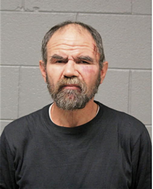 ROBERT E METZGER, Cook County, Illinois