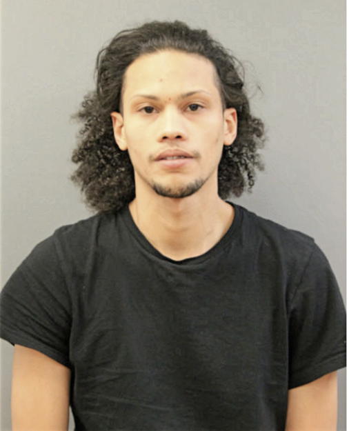 ARIEL PELLOT-BERMUDEZ, Cook County, Illinois