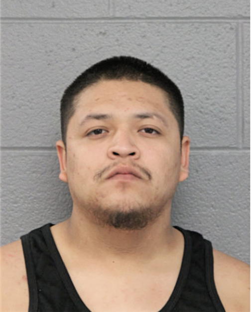 JOSE G PERDOMO, Cook County, Illinois