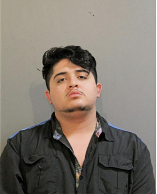 ALLAN A PEREZ-ROMERO, Cook County, Illinois