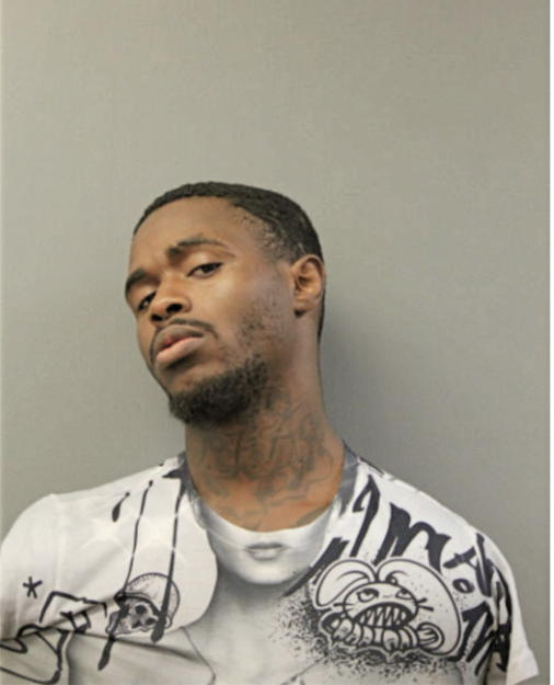 KAREEM M PRINCE, Cook County, Illinois