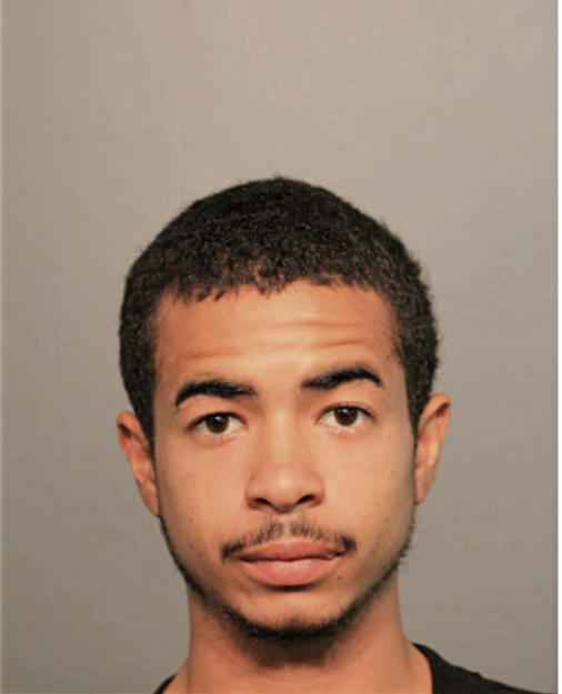 DAVID J QUINONES, Cook County, Illinois
