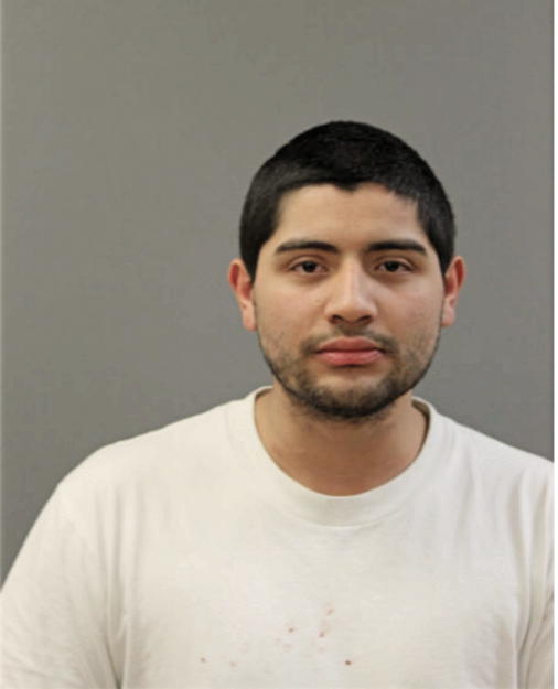 ALEX REYES, Cook County, Illinois