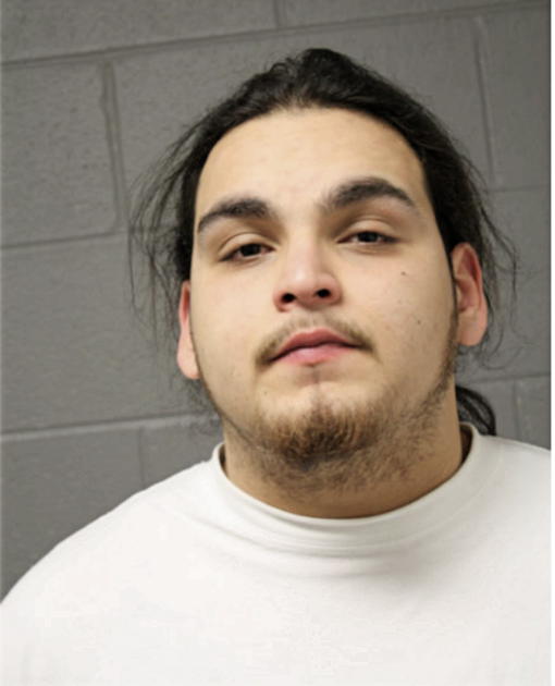 CARLOS SEIJA, Cook County, Illinois