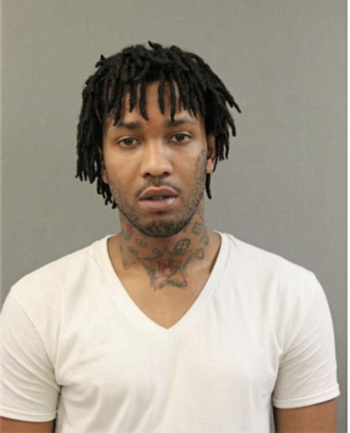 ROGER R TANNER, Cook County, Illinois