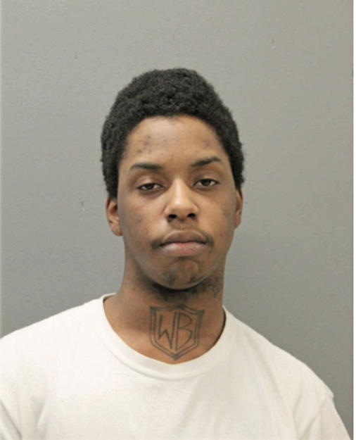 ROBERT D WILLIAMS, Cook County, Illinois