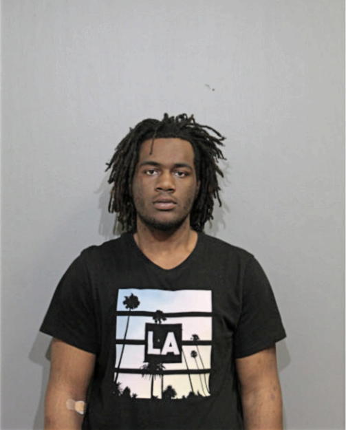 GREGORY T WILSON, Cook County, Illinois