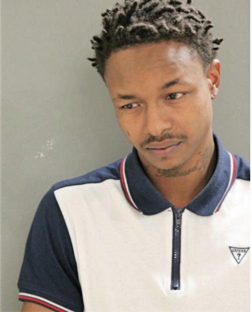 LAMAR H WILSON, Cook County, Illinois