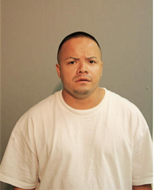 CHEISON WALTER ALVARADO, Cook County, Illinois
