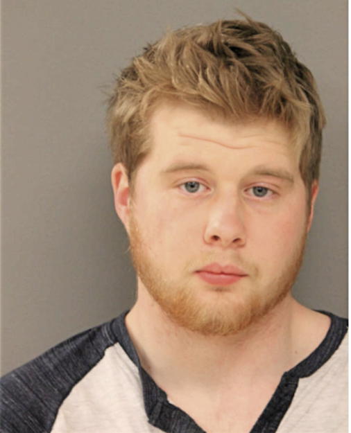 NICHOLAS S BAVOL, Cook County, Illinois