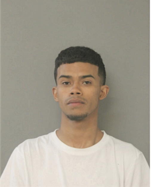 MARCELLINO BORZEWSKI, Cook County, Illinois