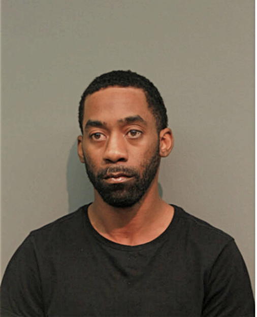 DAVID A BROWN, Cook County, Illinois