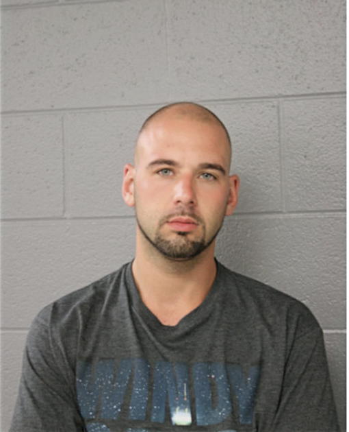 GREGORY W BROWN, Cook County, Illinois
