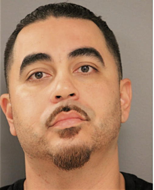 LUIS J CASTRO, Cook County, Illinois