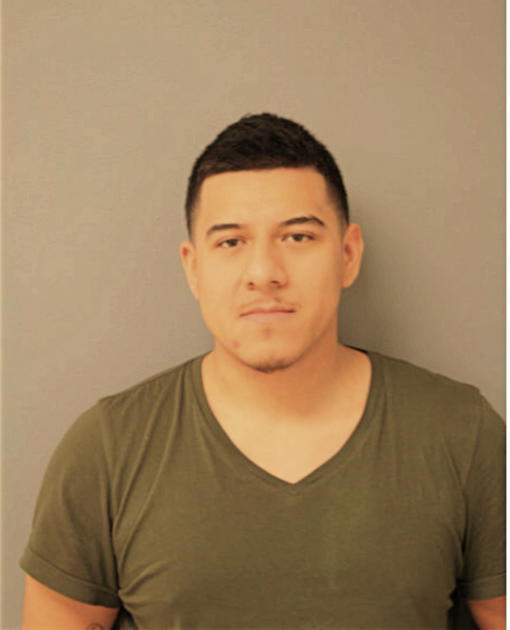 JORGE FLORES, Cook County, Illinois