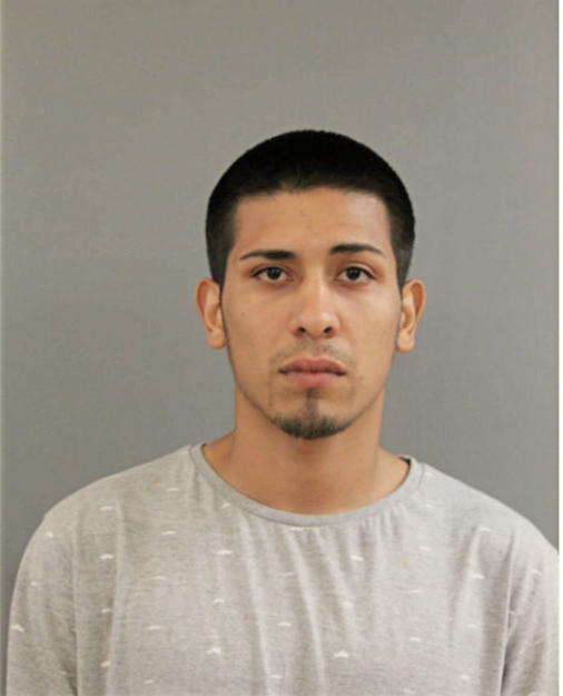 ERIK GARCIA, Cook County, Illinois
