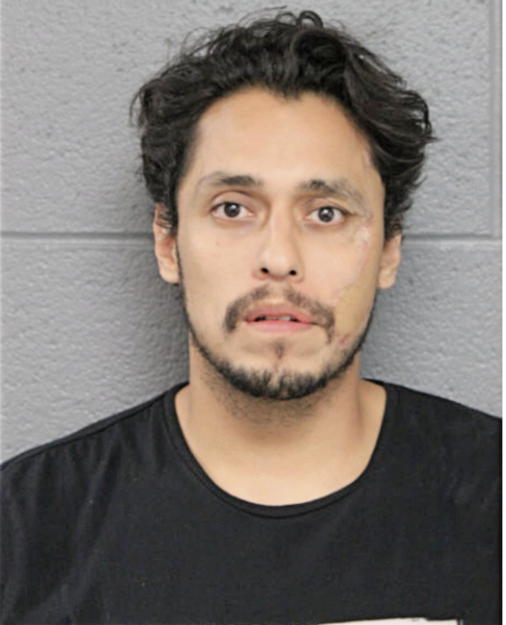 RICARDO GARCIA, Cook County, Illinois