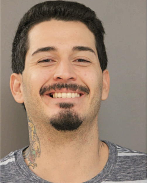NICHOLAS C GONZALEZ-SOTO, Cook County, Illinois