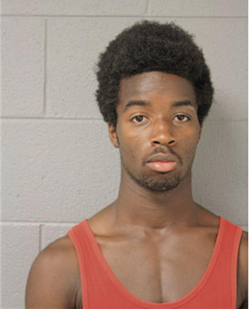 DIONTA J JOHNSON, Cook County, Illinois