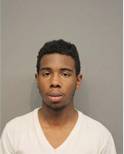 DARRYL S JONES, Cook County, Illinois