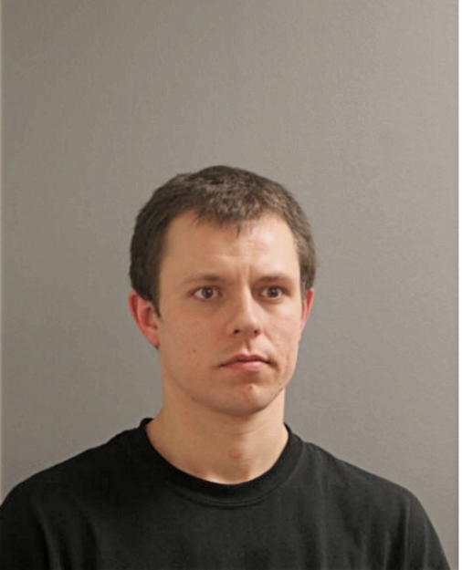 DAMIAN J KRZYSZTON, Cook County, Illinois