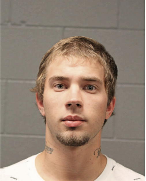 RYAN M LAFAVE, Cook County, Illinois