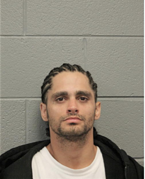 ADRIAN N LEMUS, Cook County, Illinois