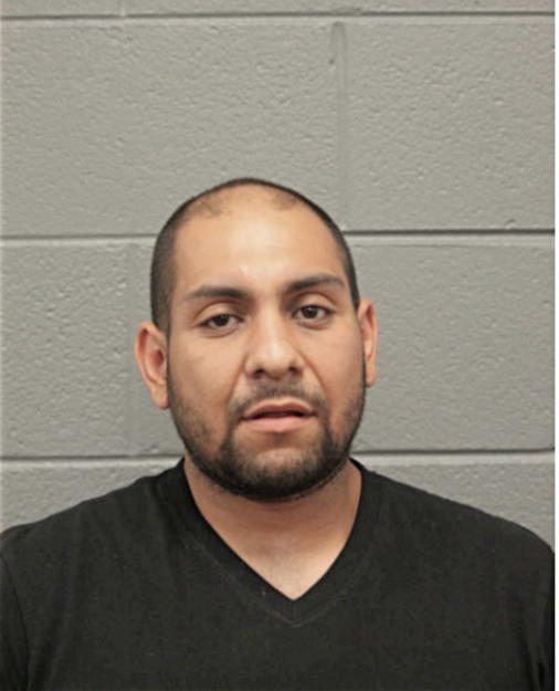 DAVID MAGANA, Cook County, Illinois