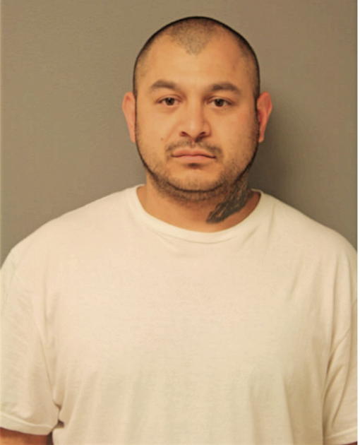 ALBERTO MARTIR, Cook County, Illinois
