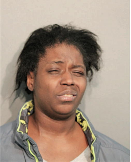 TAMEKA N MCKINNIS, Cook County, Illinois