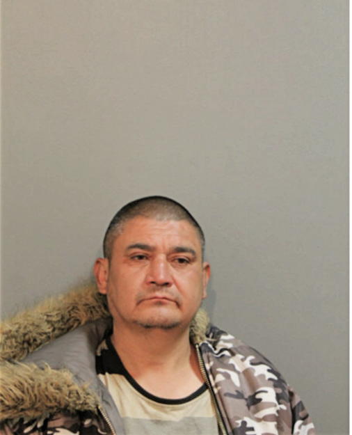 FELICIANO MENDOZA, Cook County, Illinois